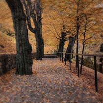 Way to Autumn by Gerhard Petermeir