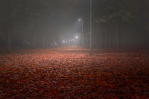 Red Leaves Park Avenue at Night von Gerhard Petermeir