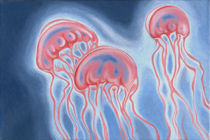Jellyfish by federico cortese