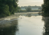 Morgens am Fluss von Christian Pohl
