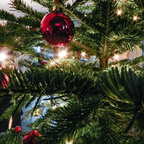 CHRISTMAS TREE I von urs-foto-art