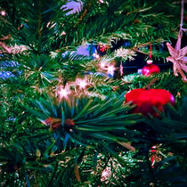 CHRISTMAS TREE II von urs-foto-art