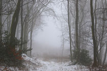 Winterwald mit Nebel 4 von Bernhard Kaiser