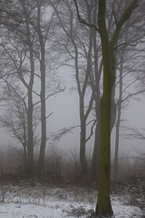 Winterwald mit Nebel 3 von Bernhard Kaiser