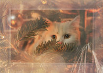 Weihnachtskarte Katze 2 von artfulhorses-sabinepeters