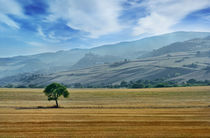 Italian countryside von Tania Lerro