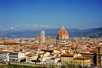 Florence and Saint Mary of the Flower panoramic view, Tuscany, Italy by Tania Lerro