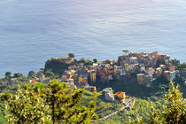 Riomaggiore panoramic view over Mediterranean sea, Cinque Terre, Italy by Tania Lerro