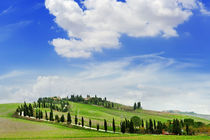 Tuscany landscape. by Tania Lerro