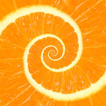 Spiral Citrus Orange Droste  by Kitty Bitty