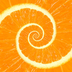 Orange-droste-m