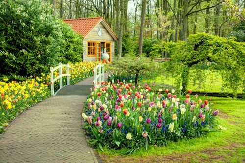 Tulip-cottage