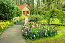 Tulip Cottage  von Rob Hawkins