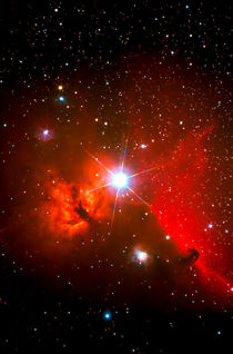 „Pferdekopfnebel-Region - B 33 - Horsehead Nebula Region“ von monarch