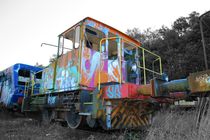 Graffiti Train von Susanne  Mauz