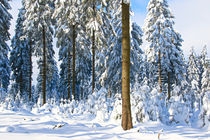 Winter im Sauerland 2 by Bernhard Kaiser