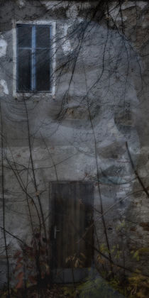 View of an old house - the face by Chris Berger