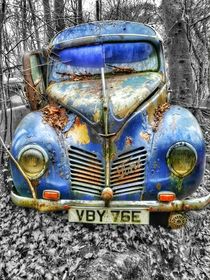 Ford vs Decay by Susanne  Mauz