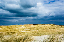 Dünenlandschaft auf Langeoog von sven-fuchs-fotografie