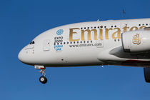 Emirates A380 Airbus And Pigeon von David Pyatt