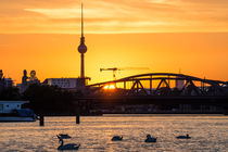 Skyline Berlin Treptow von Franziska Mohr