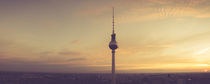 Panorama Berliner Fernsehturm by Franziska Mohr