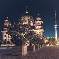Berliner Dom mit Fernsehturm und Blume von Franziska Mohr