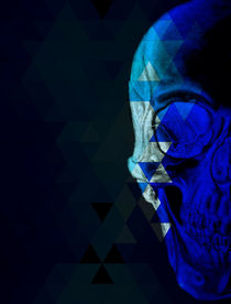 Blue Skull by Renato Sette