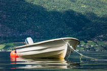 Boot am Storfjord von Rico Ködder