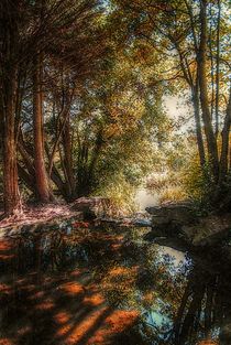 On Golden Pond by CHRISTINE LAKE