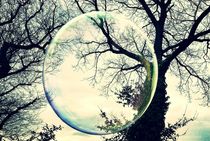 Bubble vs Tree by Susanne  Mauz