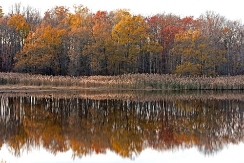 Autumn-colors-mirror-087