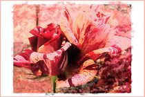 ~~ Pretty Romantik Roses ~~ von Sandra  Vollmann