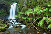 Rainforest waterfalls, Hopetoun Falls, Great Otway NP, Victoria, Australia von Sara Winter