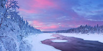 Sunrise over river rapids in a winter landscape, Finnish Lapland by Sara Winter
