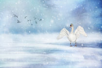 It's Snowing by Annie Snel - van der Klok