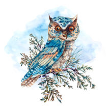 Watercolor beautiful blue owl by Varvara Kurakina