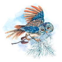 Watercolor Illustration with owl by Varvara Kurakina