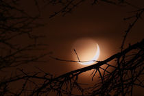Foggy moon by Manuel Huss