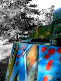 Graffiti Tank vs Nature  by Susanne  Mauz