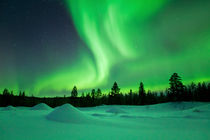 Aurora borealis over snowy landscape winter, Finnish Lapland by Sara Winter