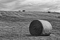 Hay Bales by Vicki Field