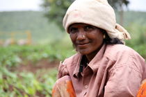 Woman working on Farm, India von Christina McGrath