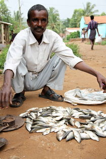Fish seller portrait in India von Christina McGrath