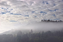 Wald, Wolken und Nebel by Bernhard Kaiser