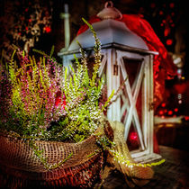 CHRISTMAS COLORS by urs-foto-art