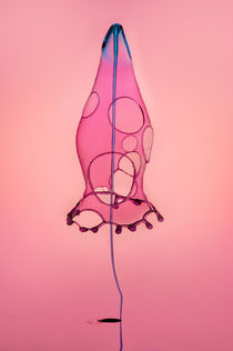 Pink Rocket by Jarek Blaminsky