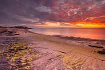Sunset on the coast of Cape Range NP, Western Australia by Sara Winter