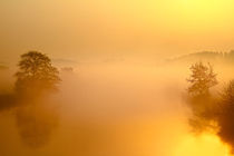 Leuchtender Nebelmorgen by Bernhard Kaiser