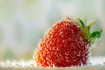 strawberryseason by Katja Bartz